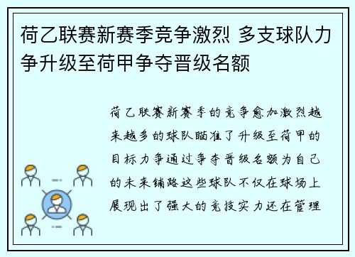 荷乙联赛新赛季竞争激烈 多支球队力争升级至荷甲争夺晋级名额