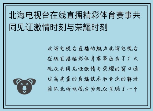 北海电视台在线直播精彩体育赛事共同见证激情时刻与荣耀时刻